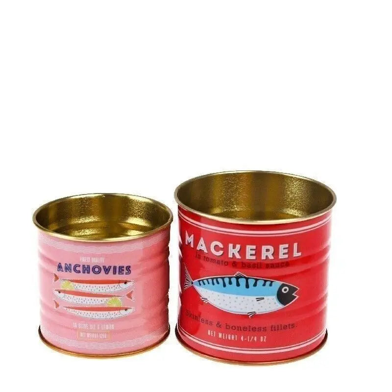 Mini Storage Tins (Set of 2)